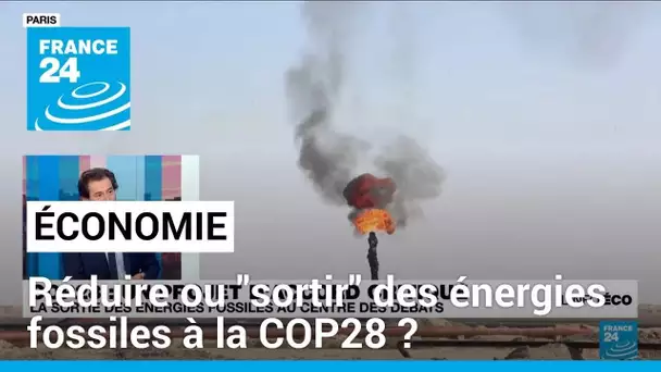 COP28 : les pays pétroliers refusent l'objectif de "sortie" des énergies fossiles • FRANCE 24