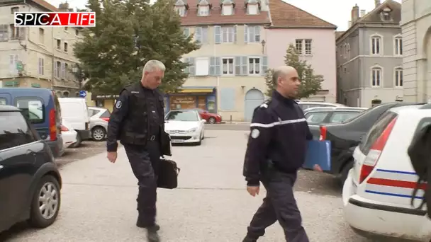 Gendarmes en action : enquêtes en zones rurales