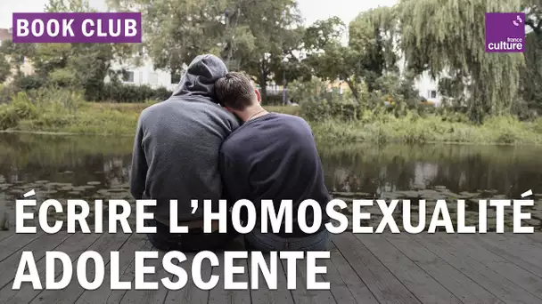 Adolescence et homosexualité en littérature