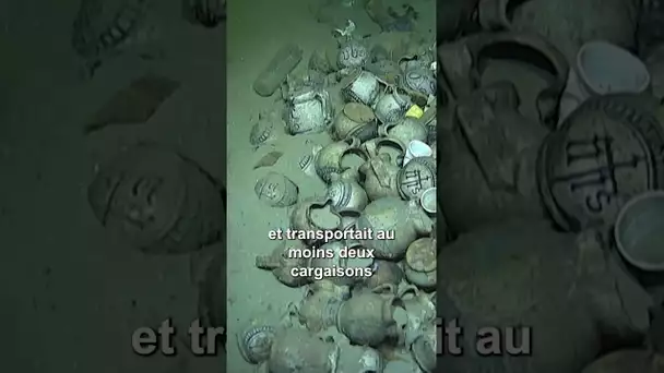 L'épave d'un navire du XVIe siècle retrouvée dans la Méditerranée