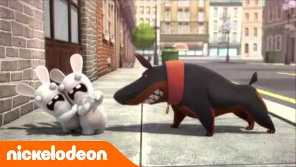 Les lapins crétins | Invasion | La cachette | Nickelodeon France