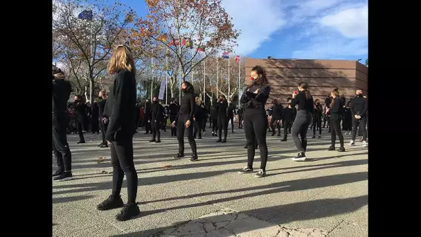 Montpellier : danse de la colère pour les artistes toujours confinés