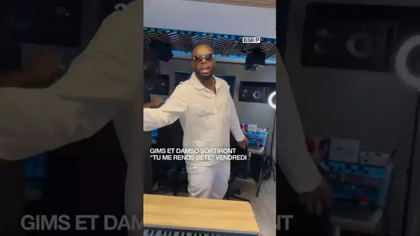 🕺Le braquage de SACEM continue pour @gims Gims x @thedamso sortiront "Tu me rends bête" vendredi.