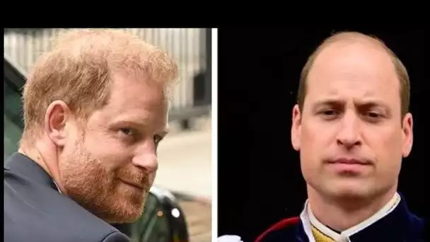 Le prince William devrait envoyer un « rameau d'olivier » à son frère en conflit pour marquer l'anni