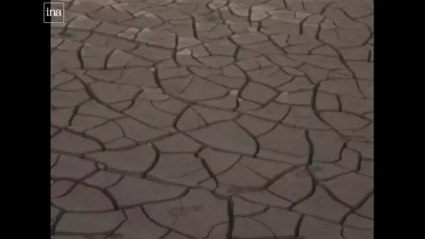 La sécheresse dans la région PACA (08/12/1981)