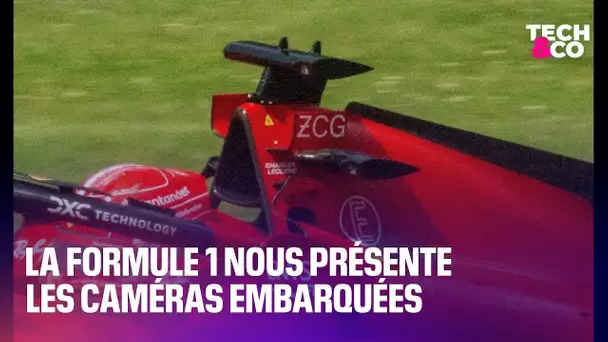 La Formule 1 nous présente les caméras embarquées