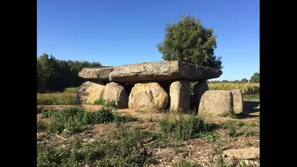 Patrimoine : le mystère des dolmens de Vendée