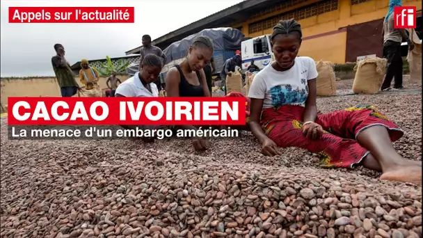 Cacao ivoirien : la menace d'un embargo américain