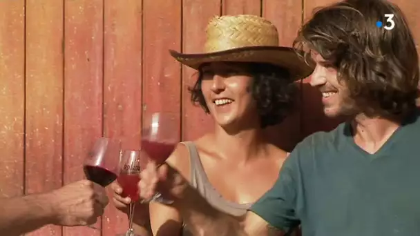 Aude : de jeunes vignerons misent sur le vin naturel