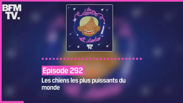 Episode 292 : Les chiens les plus puissants du monde - Les dents et dodo