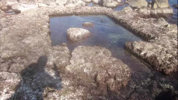 A Antibes, la baisse du niveau de la mer de 30 centimètres met au jour des vestiges