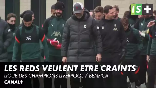 Les Reds veulent être craints - Ligue des Champions Liverpool / Benfica
