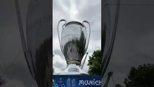 🤩🏆 #UCLfinal