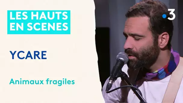 LIVE : YCARE, qui a écrit l'hymne des Enfoirés "Jusqu'au dernier", chante "Animaux fragiles"