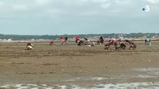 Bouin : les pêcheurs-compteurs en inventaire pour la grande marée de 104