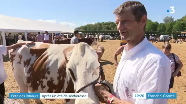 La Haute-Saône accueille la grande fête régionale de l'agriculture