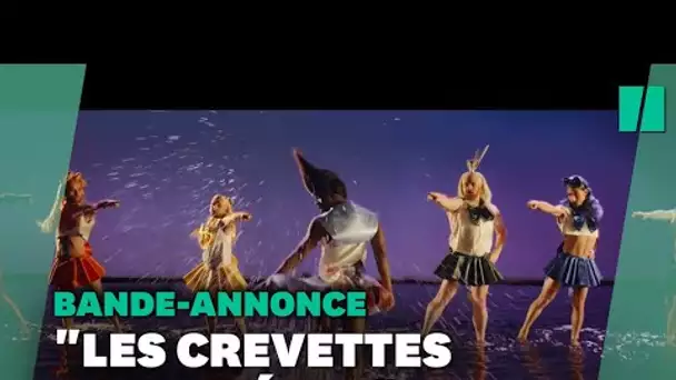 "La Revanche des Crevettes Pailletées", se dévoile dans une 1ère bande-annonce