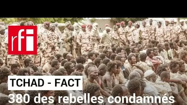 Tchad : 380 rebelles du Fact condamnés à perpétuité ont été graciés • RFI