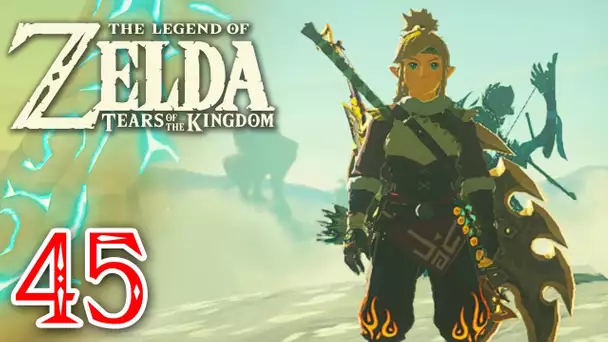 Zelda Tears of the Kingdom #45 | Direction le désert Gerudo
