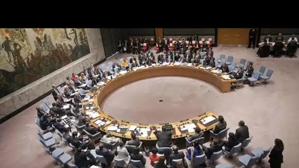 ONU : Le Conseil de sécurité se réunit pour évoquer l'Ukraine