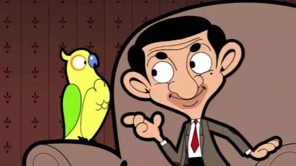 Pas d'animaux de compagnie | Mr Bean | Dessins animés pour enfants | WildBrain pour les enfants