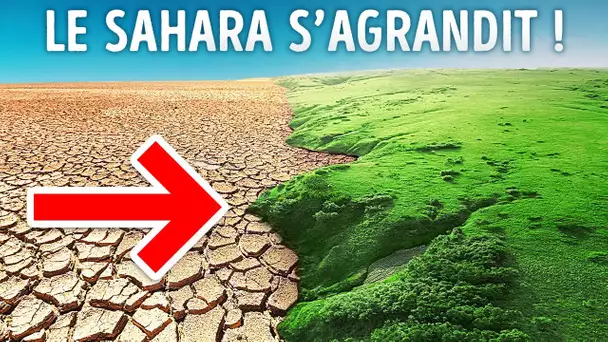 Le Sahara Grandit et Mange Lentement les Terres Vertes