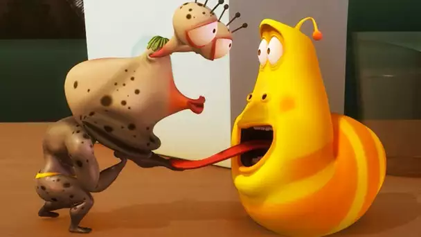 LARVA | Classe d&#039;EPS | Film de dessin animé | Dessins Animés Pour Enfants | WildBrain