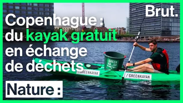 Copenhague : du kayak gratuit contre des déchets
