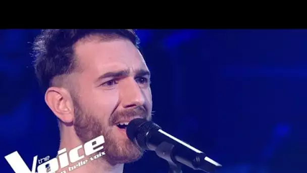 Jean-Louis Aubert  – Alter Ego  | Flo Malley | The Voice All Stars | Cross Battles