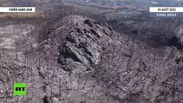 Grèce : un drone filme l'étendue de la dévastation après les gigantesques incendies de forêt