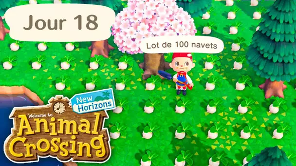 Jour 18 | 1 500 000 de Navets 🍠| Animal Crossing : New Horizons