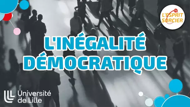 Voter sert-il encore à quelque chose ? - La Grande Enquête