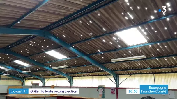 Grêle : la lente reconstruction après les orages en Saône-et-Loire