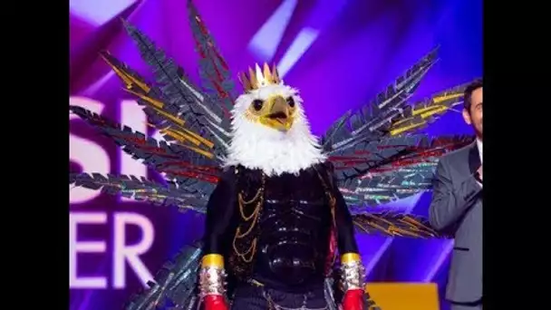 Mask Singer  qui se cache derrière l'Aigle  Ces indices qui mettent la puce à l'oreille