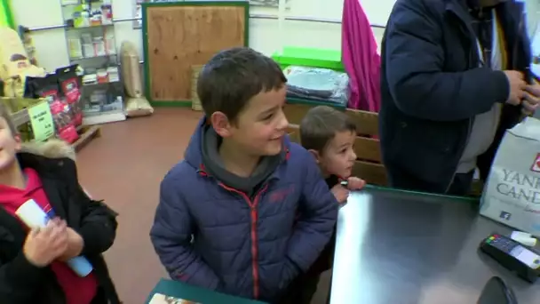 Mettre 7 enfants d'accord pour un sapin de Noël