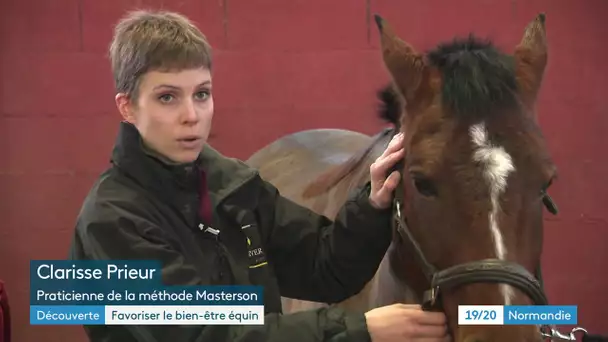 Une normande développe la méthode Masterson pour le bien-être équin