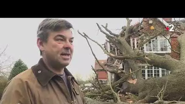 Tempête Eunice : l'Europe du nord constate les dégâts