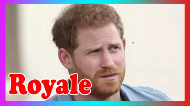 Le prince Harry accusé d'avoir « profité » de Queen pour un d0cumentaire sur Netflix