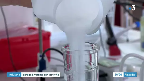 Des cosmétiques dérivés de la betterave, la dernière innovation de Tereos