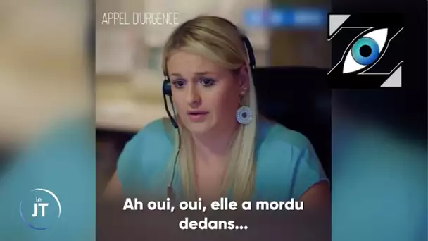 [Zap Télé] Appel d'urgence pour un p*nis mordu à la télévision belge ! (17/02/23)