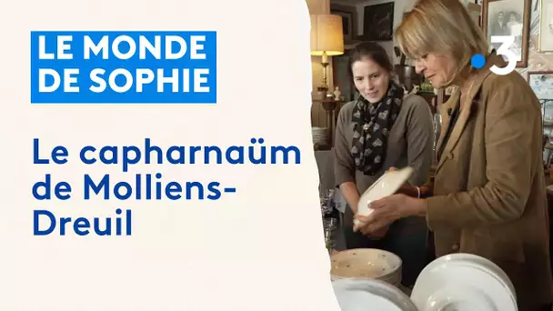 Le monde de Sophie : Le capharnaüm de Molliens-Dreuil