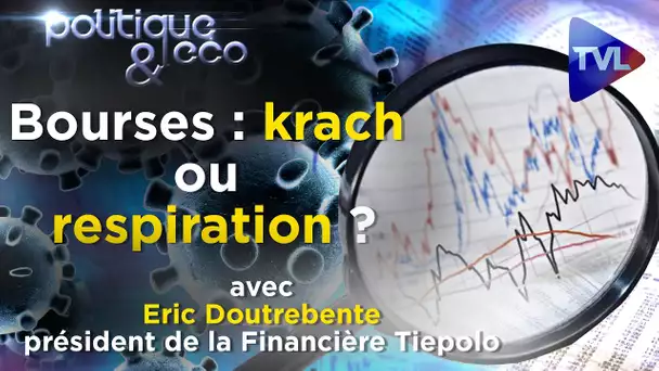 Bourses : krach ou respiration, faut-il garder confiance dans les marchés ? - Politique & Eco n°253