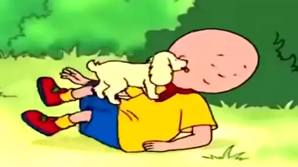 Caillou et les Chiots | Caillou en Français