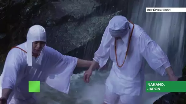 Japon : des participants du rituel Mizugyo se baignent sous une cascade d'eau froide