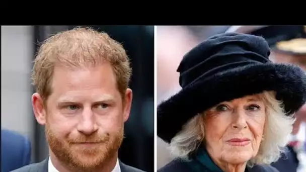 L'attitude du prince Harry envers le roi Charles lors d'une récente réunion a laissé Camilla « indig