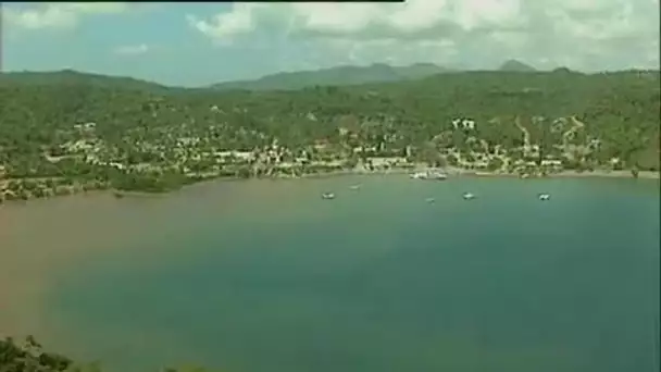 République Dominicaine : Baleines à Samana