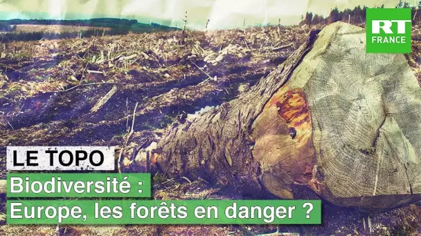 LE TOPO - Biodiversité : Europe, les forêts en danger ?