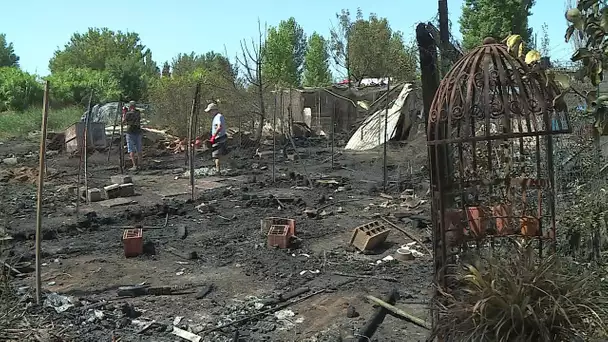 Béziers : une centaine de chats sont morts brûlés dans l'incendie du refuge