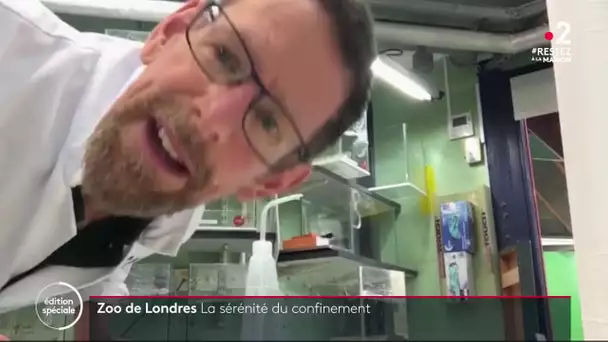 Zoo de Londres : la sérénité du confinement