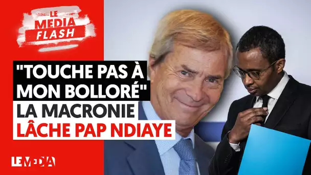 "TOUCHE PAS À MON BOLLORÉ" : LA MACRONIE LÂCHE PAP NDIAYE